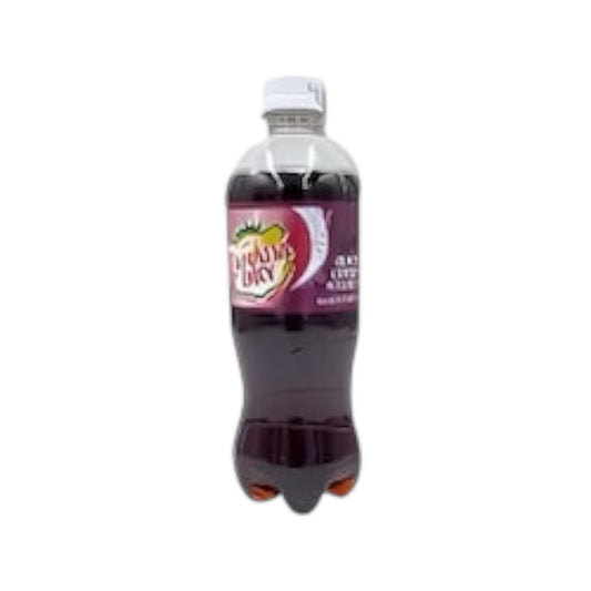 Canada Dry - Black Cherry Wishniak 20oz (CANADA)