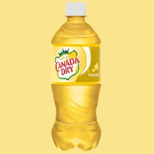 Canada Dry - Pineapple 20 fl oz (Canada)